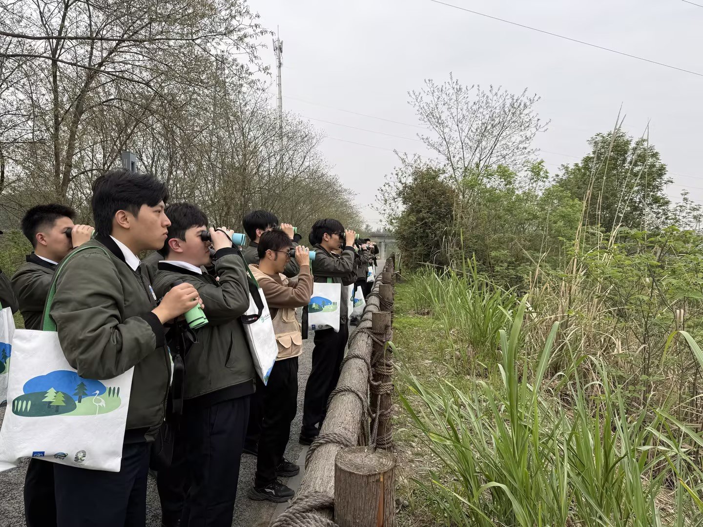 近距离感受湿地生态之美