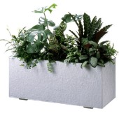 有限会社 岩井園芸の写真1