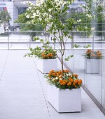 有限会社 岩井園芸の写真3